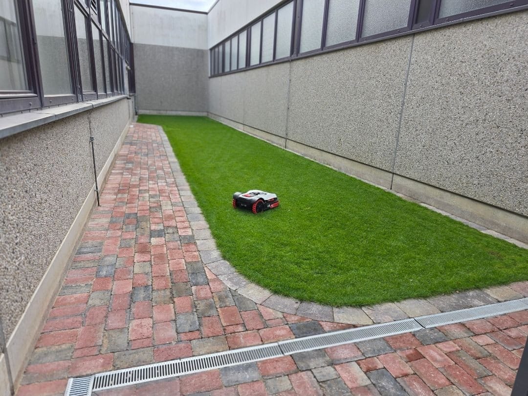 Rasenfläche mit Klinkerweg an einem Gebäude
